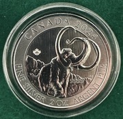 Srebrna moneta 2oz, Woolly Mammoth, Royal Canadian Mint, 2024