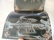 Case i booklet the gazette nil jrock visual kei 