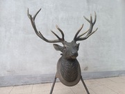 Głowa jelenia - odlew mosiądz/brąz