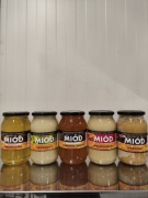 Miód 4+1GRATIS zestaw 6kg z terenów leśnych rzepakowy fasolowy spadź