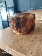 Czapka futro tchórzofredki 