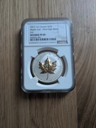 Kanadyjski Liść Klonowy 2023 - Moneta srebrna pozłacana 1oz