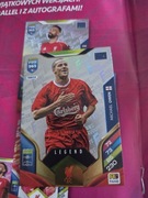 Sprzedam karte Michael Owen