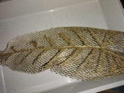 Galazka świąteczna komplet 5 szt