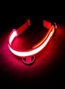 Świecąca fluorescencyjna obroża dla kota / psa, rozm XS (32-40cm) + zabawki