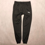 Spodnie Puma teamRISE Poly Training 657390-03 r. M