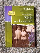 Lektura "Ziele na kraterze" wyd. Greg