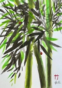 Bambus i biedronki, japońskie malarstwo sumi-e. Original Akwarela A4