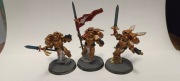Warhammer 40000 Blood Angels Sanguinary Guard