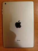 iPad mini 1 16 GB