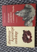 Książki o kamieniach szlachetnych i ozdobnych