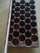 doniczkopalety wielodoniczki multiplaty promocja 5zl za kg 