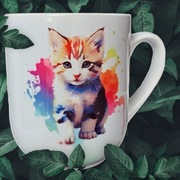 Kubek z kotem, kolorowy kot