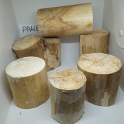 Lipa lipowe cena za 6 sztuk do rzeźbienia 30 40 cm 50 cm, 60 cm, 20 cm