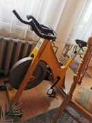 Rower stacjonarny profesjonalny 