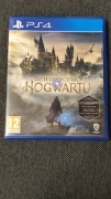 Dziedzictwo Hogwartu (Hogwarts Legacy) PL PS4 / PS5