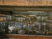 Słoiki za grosze na przetwory