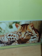 Sprzedam 2 grzejniki elektryczne na podczerwień 