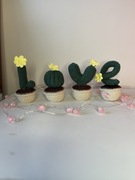 Love napis, kaktus na szydełku w doniczkach, prezent Walentynki