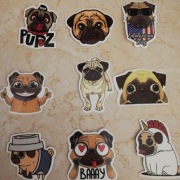 Naklejki wlepki Mops American Pug (PO 3 NAKLEJKI)