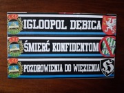 Vlepki Igloopol Dębica #11