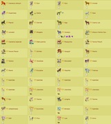 Konto w grze howrse.pl