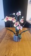 LEGO Creator Orchidea 10311 storczyk