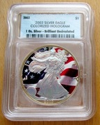 Srebrny 1 USD z 2003 r., Silver Eagle, koloryzowany, z hologramem