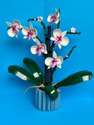LEGO 10311 - Orchidea