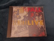 The Fall Seminal Live Mark E Smith Birthday Party Wire Wedding Present