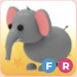 FR Elephant | Adopt Me Roblox