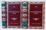 Tomasz Mann Czarodziejska góra wydawnictwo dolnośląskie biblioteka klasyki