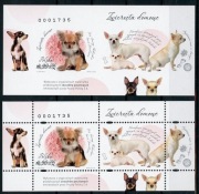 Fi 5461** ZWIERZĘTA DOMOWE - ND A + B - NOWODRUK 2026