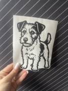 Naklejka Jack Russell Terrier