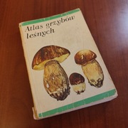 Atlas grzybów leśnych Henryk Orłoś