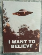 plakat na płótnie z filmu z archiwum x i want to believe