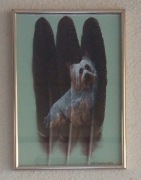 Obraz na piórach - Joanna Samborska