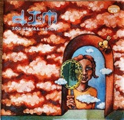 DIM Now We See Dimly (5)