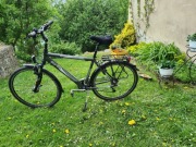 Rower trekkingowy alu Curtis