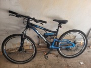 Rower horizon reaper 