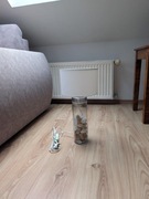 Lampka stołowa elektryczna ze szklana podstawą