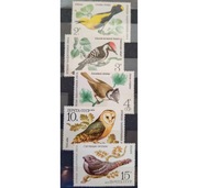 Fauna zwierzęta ptaki Rosja