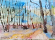 Park im. Wł. Szafera, akwarela, A4, oryginał , pejzaż, nowy, Skoczyk 