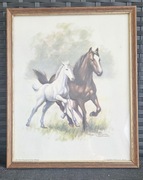 Ładny obrazek KONIE druk drewniana ramka 