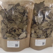 Liść brzozy fermentowany – susz roślinny 15 g (herbatka enzymatyczna)