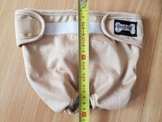 majtki bawełniane dla psa