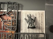 Wh40k Drukhari Incubi