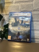 Gra Hogwart's Legacy (Dziedzictwo Hogwartu) - PS5 (PlayStation 5) PL