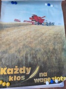 Każdy kłos na wagę zlota
