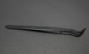 Peseta terrarystyczna 15cm